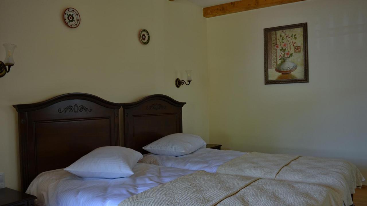 Pensiunea Valea Muntelui Bîrsana Buitenkant foto